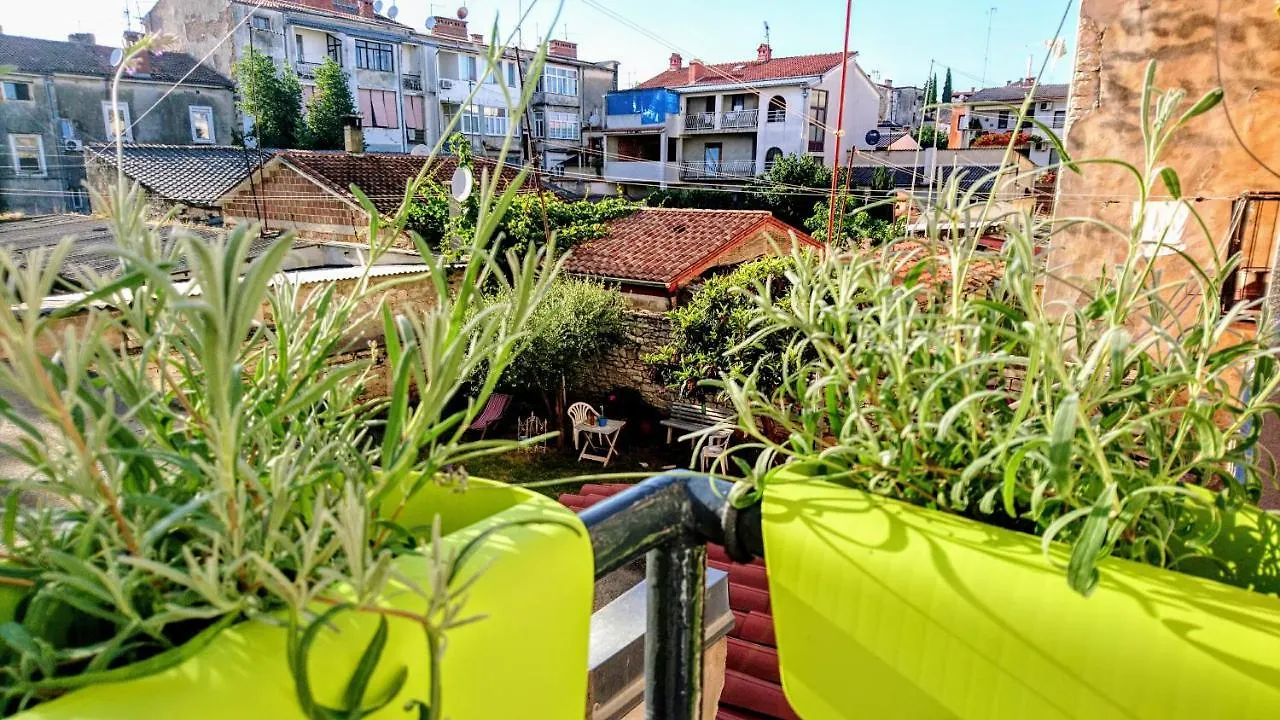 Center Holiday App Apartment Pula Croatia